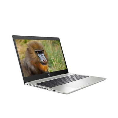 Laptop HP ProBook 450 G6 (6FG98PA) (15.6″ FHD/i5-8265U/4GB/256GB SSD/MX250/Free DOS/1.9 kg)