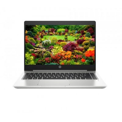 Laptop HP ProBook 445 G7-1A1A4PA 1A1A4PA ( 14″ HD/AMD Ryzen 3 4300U/4GB/256GB SSD/Windows 10 Home SL 64-bit/1.6kg)