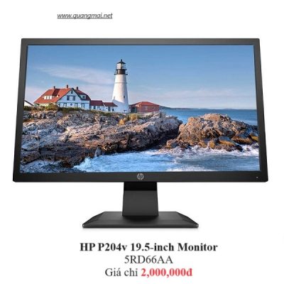 HP P204v 19.5-inch Monitor 5RD66AA