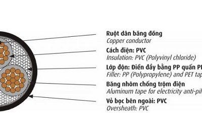 Cáp điện kế 3 lõi 0.6/1kV CADIVI DK-CVV-3×10