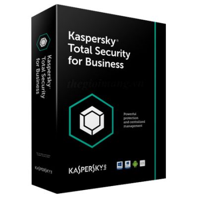 Kaspersky Total Security for Business (KL4869)
