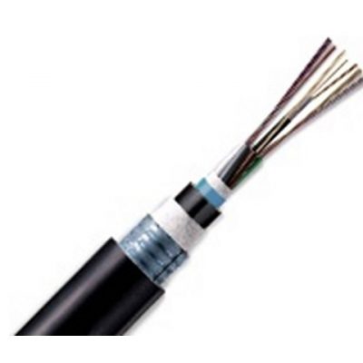 Cáp quang LS 12 lõi quang LT-DJBGSEX/BRN M412XX(06T2.00)