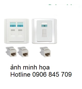 CommScope 65383111-04