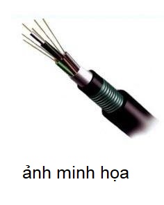 Cáp ngoài trời SM CommScope X-1427452-4