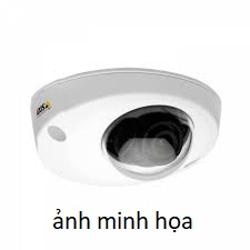Camera AXIS P3925-R