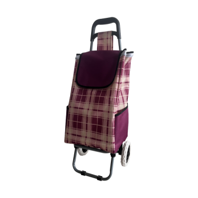 Xe kéo đi chợ kèm túi tiện lơi FUJIHOME ST-30AF