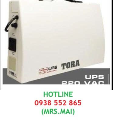 Máy lưu điện cửa cuốn TORA C800 (Vỏ nhựa ABS)
